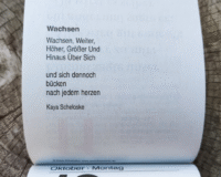 In Berckers Schwesternkalender