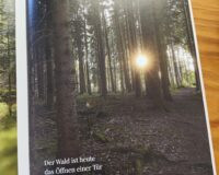 Waldnotate im Arte.Mira-Magazin Waldnotate im Arte.Mira-Magazin