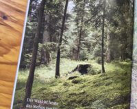 Waldnotate im Arte.Mira-Magazin Waldnotate im Arte.Mira-Magazin